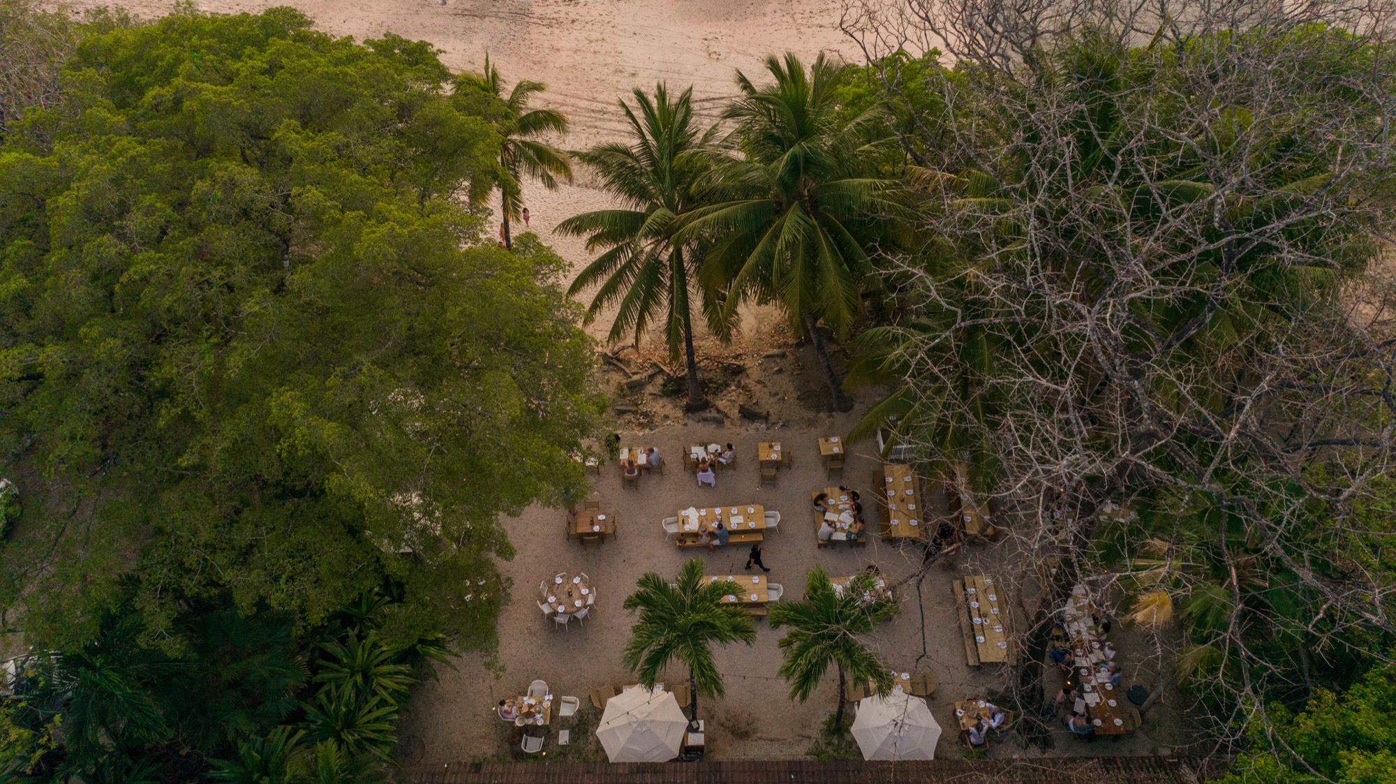 Beach Aerial