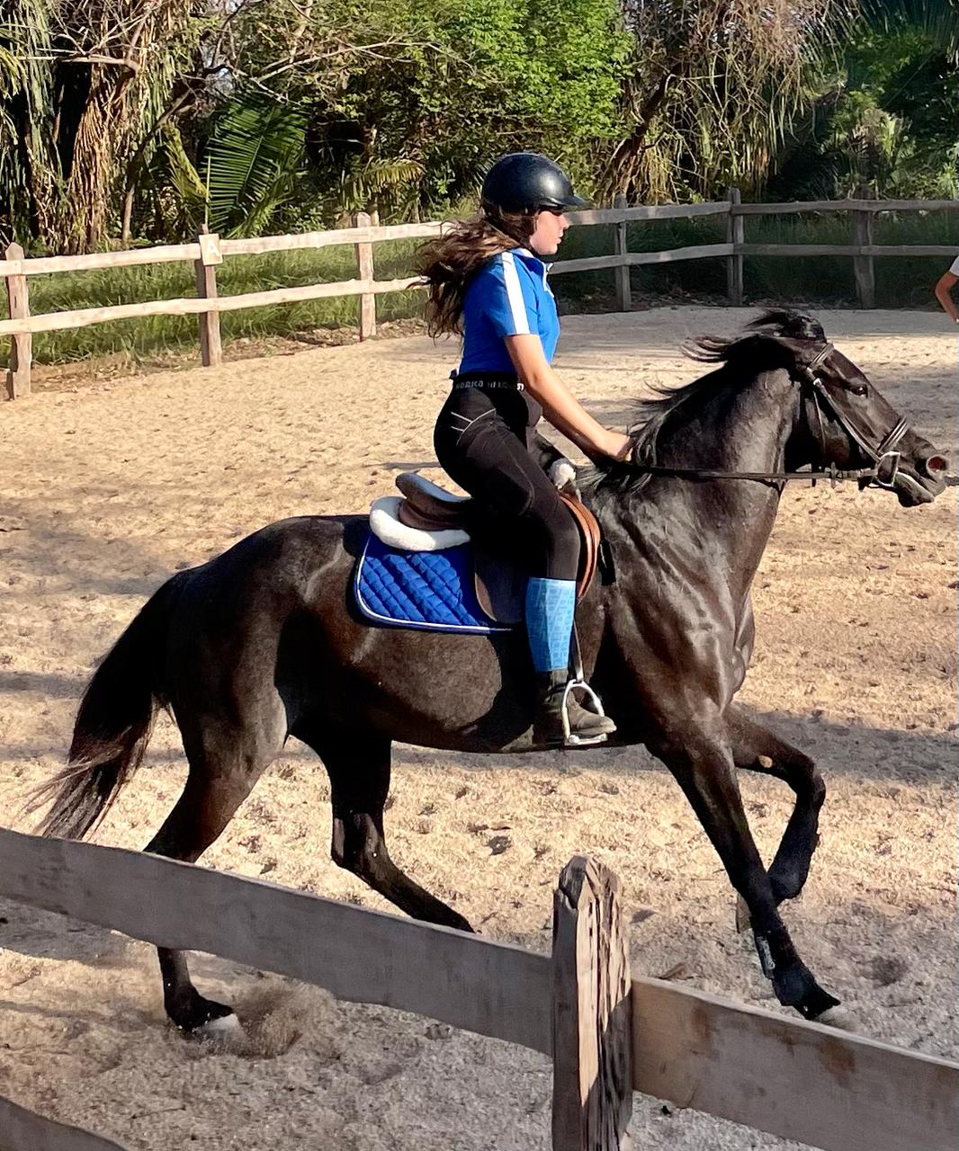 Equestrian Training