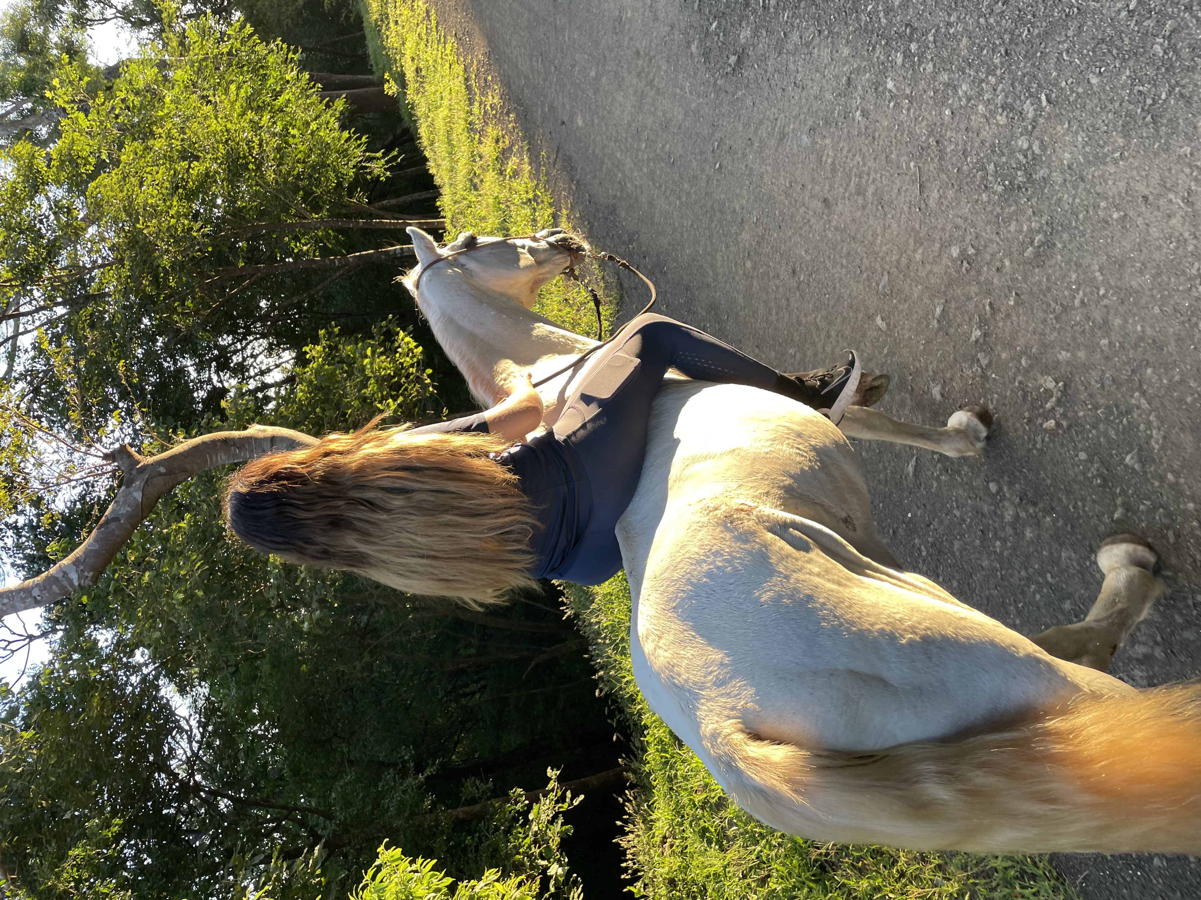 Horseback Riding